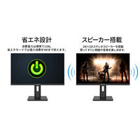JAPANNEXT 21.5インチ 液晶ディスプレイ JN-I215F2-HSP 1台（直送品）