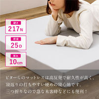 萩原 ピターら 高反発マットレス S シングル 270609200 1枚（直送品）