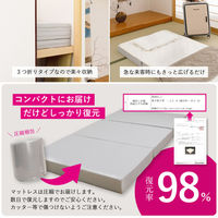 萩原 ピターら コットンパイル 敷きパッド+マットレスセット SD セミダブル 270610311 1枚（直送品）