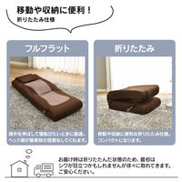 タマリビング おじぎコローリII 座椅子 ダークベージュ／ブラウン 1台（直送品）