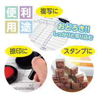 共栄プラスチック 軟質 下敷き 透明カラーのしっかりシタ字キ A4 グレープ TCS-A4-GR 1セット(1枚×2)（直送品）