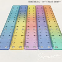 共栄プラスチック そら色じょうぎ 17cm SO-17-02 1本（直送品）