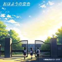 共栄プラスチック そら色したじき A4 SO-A4-02 1枚（直送品）