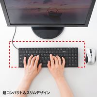 サンワサプライ 英語配列USBスリムキーボード SKB-E2UN 1台