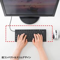 サンワサプライ 英語配列USBスリムキーボード SKB-E3UN 1個