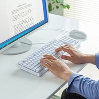 サンワサプライ 日本語109キーボード ホワイト SKB-109PW 1台