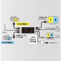 サンワサプライ HDMIキャプチャー(2入力・スイッチャー付き) USB-CVHDUVC5 1個（直送品）