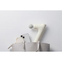 アイリスオーヤマ ビューティーケアガン プラス オフホワイト FRT-M02-W 1台（直送品）