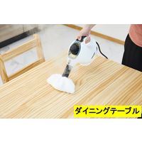 ケルヒャー スチームクリーナー SC MINI 1.516-339.0 1台 KARCHER