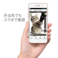 パナソニック HDペットカメラ KX-HDN215-K ブラック 転倒防止構造 音センサー 温度センサー 首振り機能 会話機能 200万画素