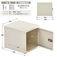 【軒先渡し】B.Bファニシング ロック付き収納 レクタンボックスS 幅300×奥行360×高さ300mm ブラック 1台（直送品）