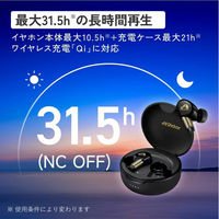 JVCケンウッド WOOD master 完全ワイヤレスイヤホン HA-FW5000T HA-FW5000T-T 1個（直送品）