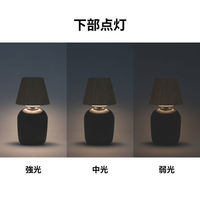 電響社 ZEPEAL ボトルライト BR ZLZ-10JA(T) 1個（直送品）