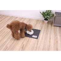 サンベルム ペットマット 40×30cm PallyPallyPET ランチョンマット 犬 猫 はっ水 グレー 494346 1個（直送品）