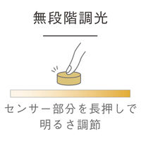 ケーアイジャパン テーブルライト ガラス製 無段階調光 充電式 クラルテ ボール LEDランタン 495439 1個（直送品）