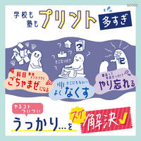 ソニック ファイル 貼るシラセファイル B5ノート用 2枚入り タスク管理 531671 1個（直送品）