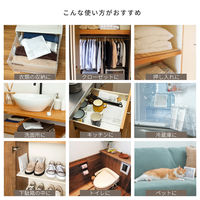 アストロ 消臭 吸湿 桐の炭 S 2個セット 616-52 1セット(2個)（直送品）