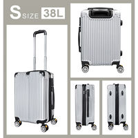 EMA スーツケース 38L相当 Sサイズ シルバー SunRuck SR-DT038-SV 1個（直送品）