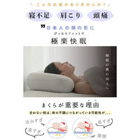 大河商事 もっちり安眠枕 まくら(カバー付き)安眠 低反発 肌触り 肩こり軽減 beapro18 1台（直送品）