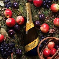 イタリア　 ミオネット プロセッコ スパークリングワインギフト 750ml 1セット（2本：各1本）　サントリー　贈答　プレゼント