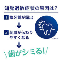 Haleonジャパン シュミテクト コンプリートワンEXハブラシ レギュラー（ふつう） 1本 4901080723116（直送品）