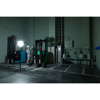 アイリスオーヤマ LED小型バルーンライトLWB-22000FK LWB-22000FK 1個（直送品）