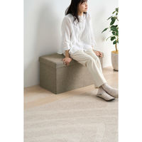 アイリスオーヤマ ３ＷＡＹ引き出し収納ボックス 引き出し３つタイプ 幅760×奥行375×高さ385mm ブラウン 1台（直送品）