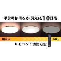 日本防災スキーム 防災用シーリングライト 天照(アマテラス)tsuita TC102 1個（直送品）
