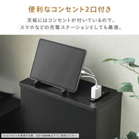 武田コーポレーション ゲーム収納ボックス コンセント付き LN-H6-TS50BK 1箱(4個入)（直送品）