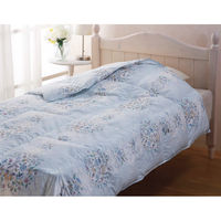 ユナイテッドスペース EXETIME ORANGE(無期限) 25059001 1個（直送品）