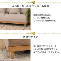 タマリビング モンテ ソファ 3人掛 幅1700mm ブラウン 1台（直送品）