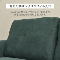 タマリビング リアン ソファ 3人掛 幅1700mm ダークグリーン 1台（直送品）