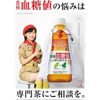 【機能性表示食品】サントリー 伊右衛門プラス 血糖値対策 350ml 1箱（24本入）