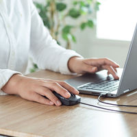 サンワサプライ 静音有線ブルーLEDマウス イオプラス(ブラック) MA-IPYBS301BK 1個