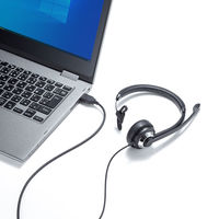 サンワサプライ USBヘッドセット MM-HSU19BK 1個（直送品）
