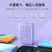 ZENDURE SuperMini パープル ZDSM10PD-PU 1個（直送品）