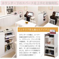 ナサ流通企画 ルーター収納キャビネット 幅455×奥行300×高さ875mm ホワイト/ホワイト fy-0086 1台（直送品）