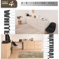 【軒先渡し】ナサ流通企画 ハイ 板扉タイプ 幅1045×奥行395×高さ800mm ナチュラル te-0096 1台（直送品）