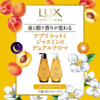 ラックス(LUX) ルミニーク モイストチャージ トリートメント 詰め替え 350g 3個