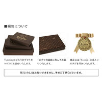 ● ヒオリエ 日本製 ギフトセット ホテルスタイルタオル フェイス2枚+バス1枚 モカ系 タオル 厚手 吸水 無地 泉州タオル プレゼント（直送品）