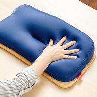 サンワダイレクト ひざ上テーブル（膝上テーブル・ノートパソコン・タブレット・15.6インチ・ラップトップテーブル・木目調・ビーズクッション） 1個（直送品）