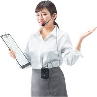 サンワダイレクト ワイヤレスマイク（ヘッドセット・400-SP055/400-SP066拡声機用・ハンズフリー・ツーピース型） 400-SP075（直送品）