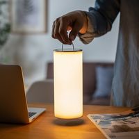 サンワダイレクト LEDライト(ランタン・6段階調整・充電式・タッチパネル・昼白色・電球色・リバーシブル) 800-LED025 1本（直送品）