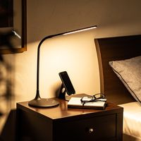 サンワダイレクト LEDデスクライト 800-LED030BK 1台（直送品）