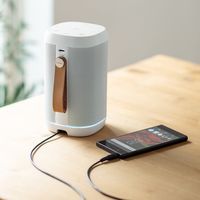 サンワダイレクト スマートスピーカー 400-SP072W 1個（直送品）