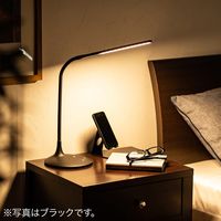 サンワダイレクト LEDデスクライト 800-LED030W 1台（直送品）