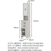 佐藤産業 DOLLY（ドリー） ミラー付収納ラック 幅300×奥行400×高さ1700mm ホワイト DO170-30MR WH 1台（直送品）