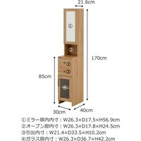 佐藤産業 DOLLY（ドリー） ミラー付収納ラック 幅300×奥行400×高さ1700mm ナチュラル DO170-30MR DNA 1台（直送品）