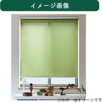 【規格品】ロールスクリーン 幅130×高200cm（ベージュ） 4975559789316 1セット トーソー（直送品）