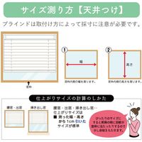 【規格品】アルミブラインド 幅60×高138cm（遮熱ホワイト） 4975559770079 1セット トーソー（直送品）